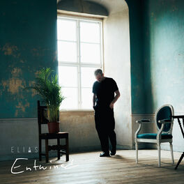 Album cover of Entwined