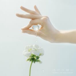 Album cover of 透明水曜日