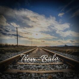 Album cover of Trem-Bala (Cover)