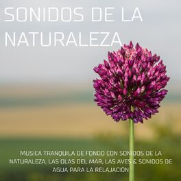 Album cover of Sonidos de la naturaleza - Música tranquila de fondo con sonidos de la naturaleza, las olas del mar, las aves & sonidos de agua pa