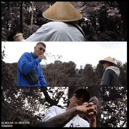 Album cover of Harakiri