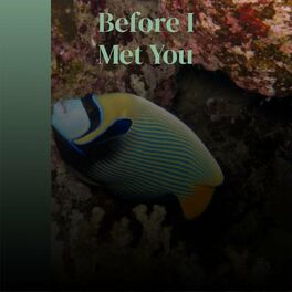 Album cover of Before I Met You