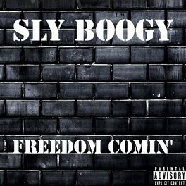 Album cover of Freedom Comin'