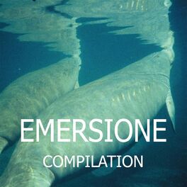 Album cover of Emersione