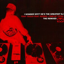 Album cover of I Wonder Why? (He's the Greatest DJ) (The Remixes)