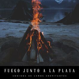 Album cover of Fuego Junto A La Playa: Sonidos De Leños Crepitantes