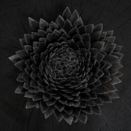 Album cover of Obsidian