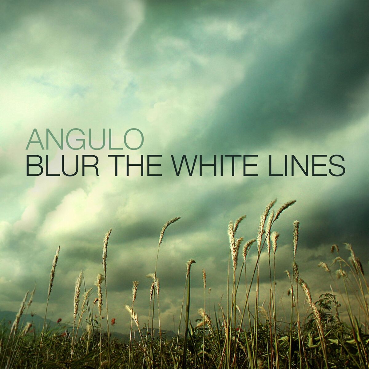 Angulo - Blur the White Lines: lyrics and songs | Deezer