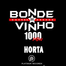 Album cover of Horta 1000 Show (Ao Vivo)