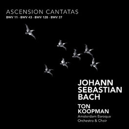 Album cover of Bach: Ascension Cantatas