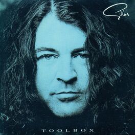 Album cover of Toolbox