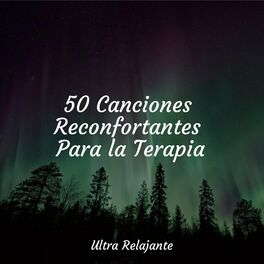 Album cover of 50 Canciones Reconfortantes Para la Terapia