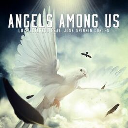 Album cover of Angels Among Us