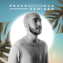 Album cover of Peace (Remixes)