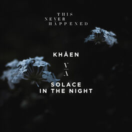 Album cover of Solace In The Night