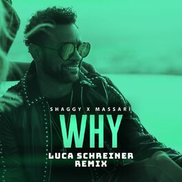 Album cover of Why (Luca Schreiner Remix)