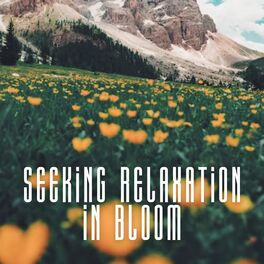 Album cover of Seeking Relaxation in Bloom