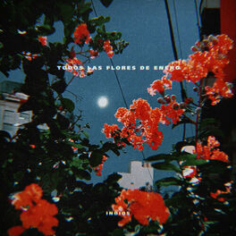 Album cover of Todas las Flores de Enero