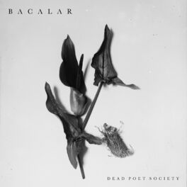 Album cover of Bacalar