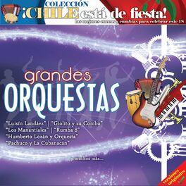 Album picture of Grandes Orquestas