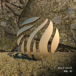 Album cover of Muzique, Vol. 01