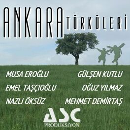 Album cover of Ankara Türküleri