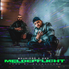 Album cover of Meldepflicht