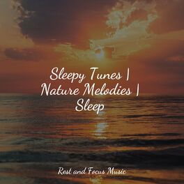 Album cover of Sleepy Tunes | Nature Melodies | Sleep