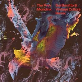 Album cover of The Prey (Gui Boratto & Vintage Culture Remix)