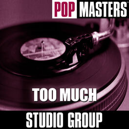 Album cover of Pop Masters: Too Much