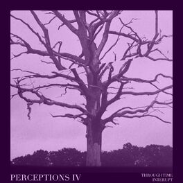 Album cover of Perceptions IV