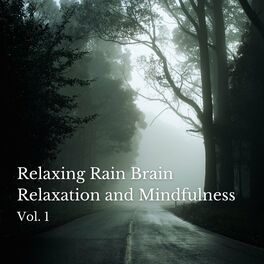 Album cover of Relaxing Rain Brain Relaxation and Mindfulness Vol. 1
