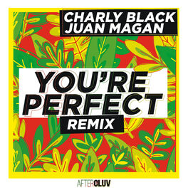Album cover of You're Perfect (Remix)