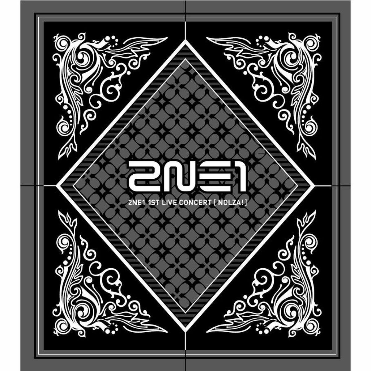 2ne1 サインTシャツ2012 NEW EVOLUTION IN JAPAN