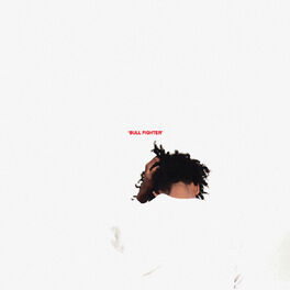 Album cover of Bull Fighter