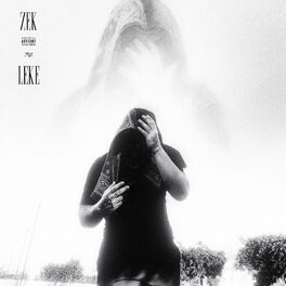 Album cover of LEKE
