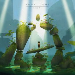 Album cover of Your Light
