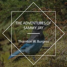 Album cover of The Adventures of Sammy Jay
