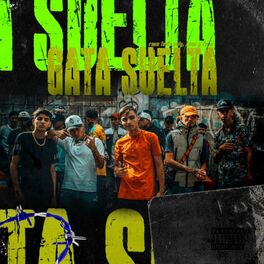 Album cover of Gata Suelta RKT (feat. Leandro, Towi & Paly)