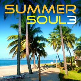 Album cover of Summer Soul 3