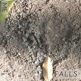 Album cover of Falls
