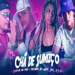Album cover of Chá de Sumiço