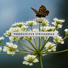 Album cover of Progressiver Stressabbau: Entspannungsmusik und Naturgeräusche, Muskelentspannung, ruhiger Schlaf, Autogenes Training