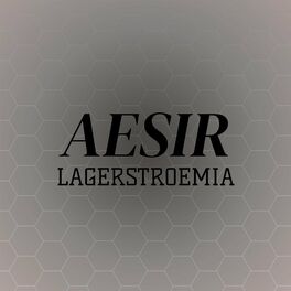 Album cover of Aesir Lagerstroemia