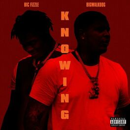 Album cover of Knowing (feat. BigWalkDog)