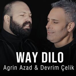 Album cover of Way Dilo