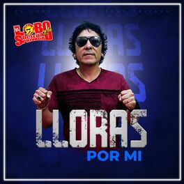 Album cover of Lloras por Mi