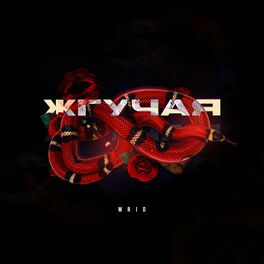 Album cover of Жгучая