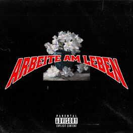 Album cover of Arbeite am Leben