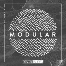 Album cover of Modular, Vol. 53